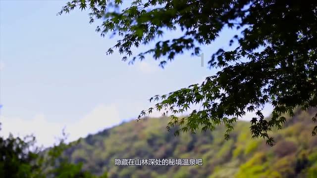 吉鹿力问答社区,解决你的难题如何迅速判断对方是不是渣男?
